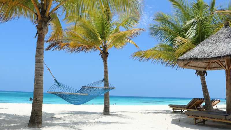 Hamac între doi palmieri pe o plajă din Zanzibar, cu oceanul în fundal