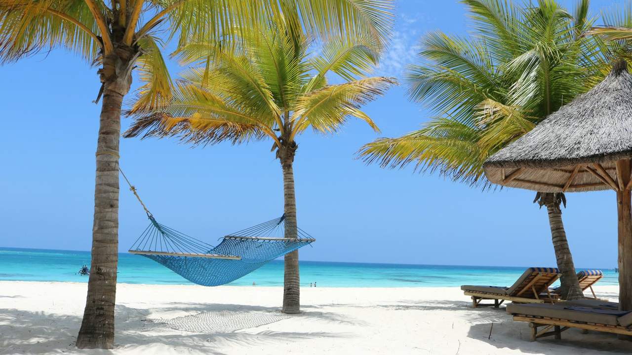 Hamac între doi palmieri pe o plajă din Zanzibar, cu oceanul în fundal